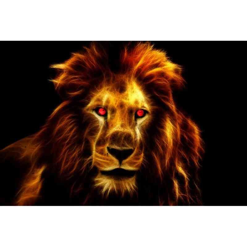 Løve på sort baggrund - Diamond Paint