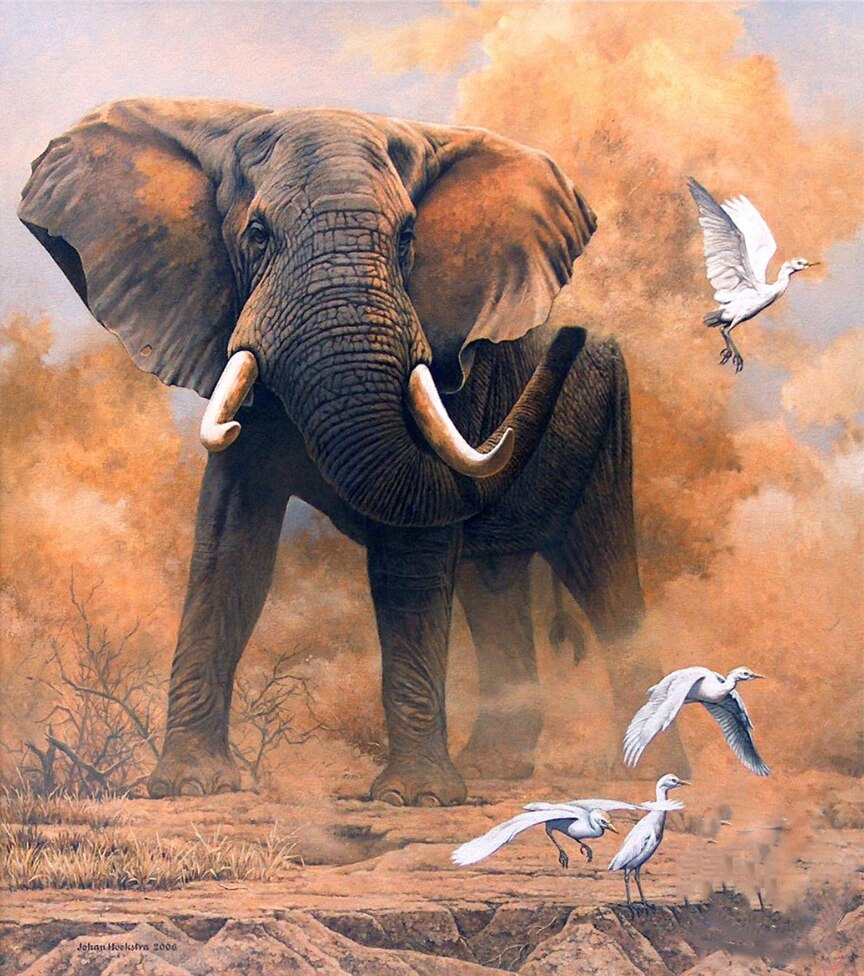 Elefant på savannen thumbnail