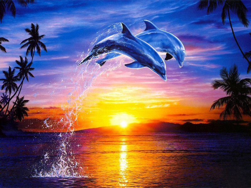 Diamond Painting - Springende delfiner thumbnail