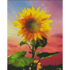 Solsikke i diamond paint