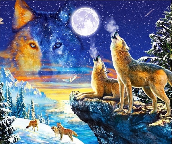 Diamond Painting - Ulve i natten thumbnail