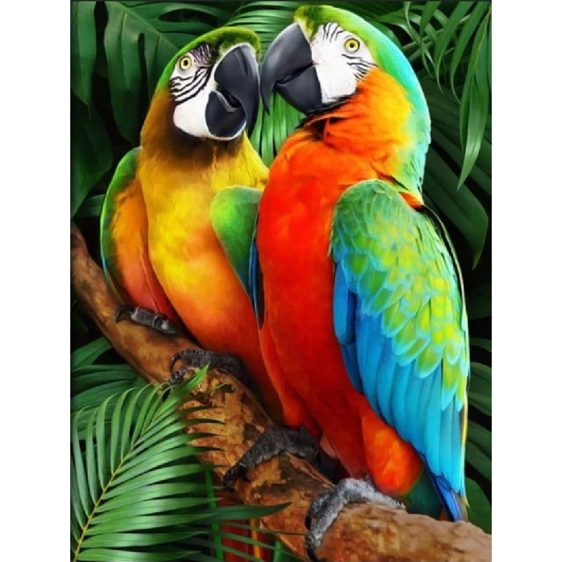 Billede af 2 papegøjer på gren