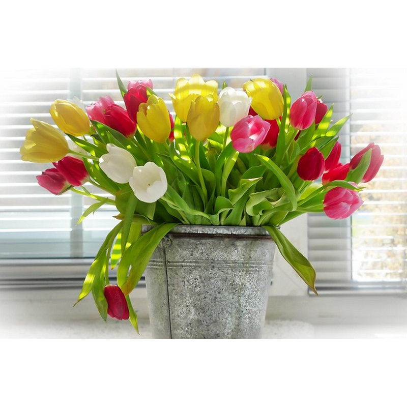 Spand med tulipaner thumbnail