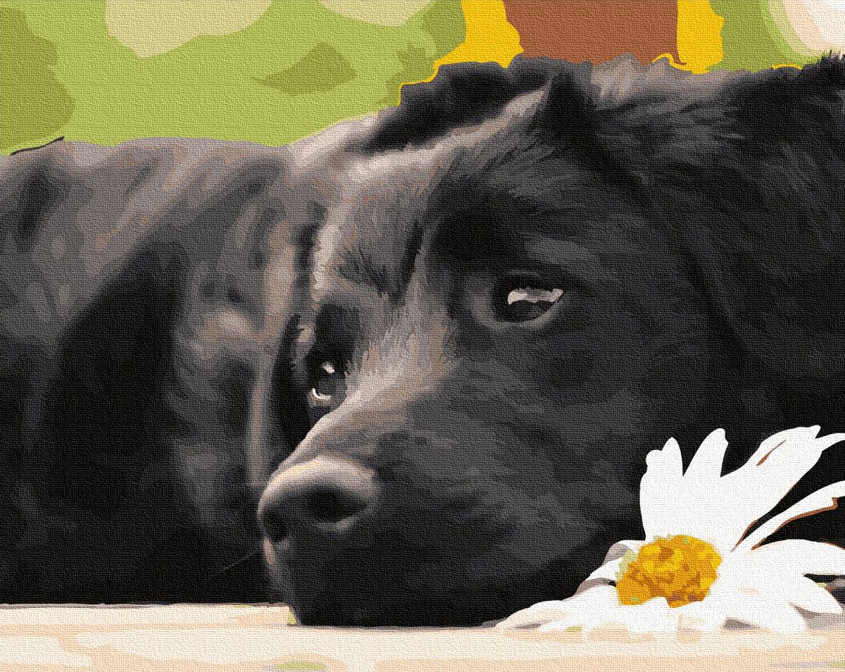 Diamond Painting - Hund kigger længselsfuldt thumbnail