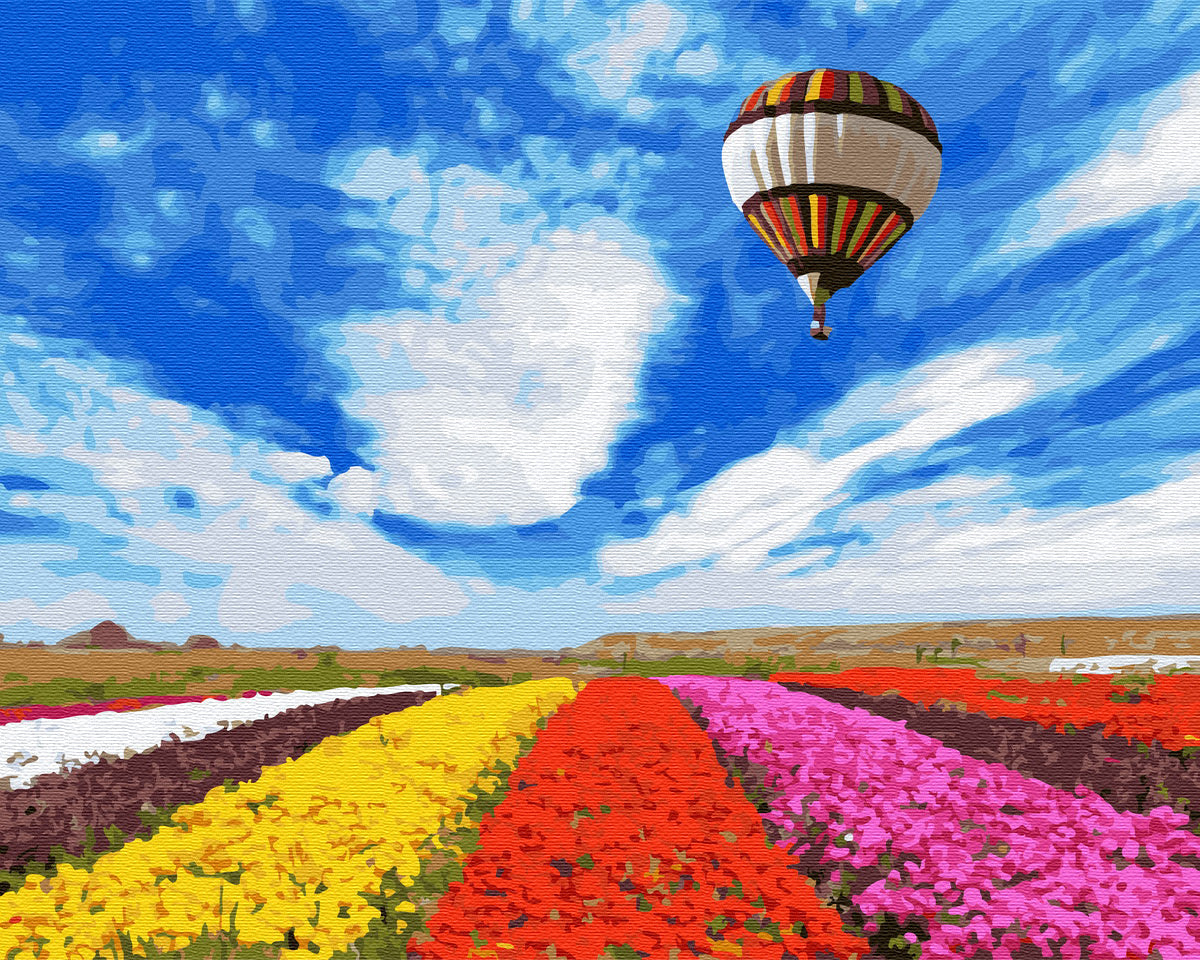 Luftballon over farverige blomster thumbnail