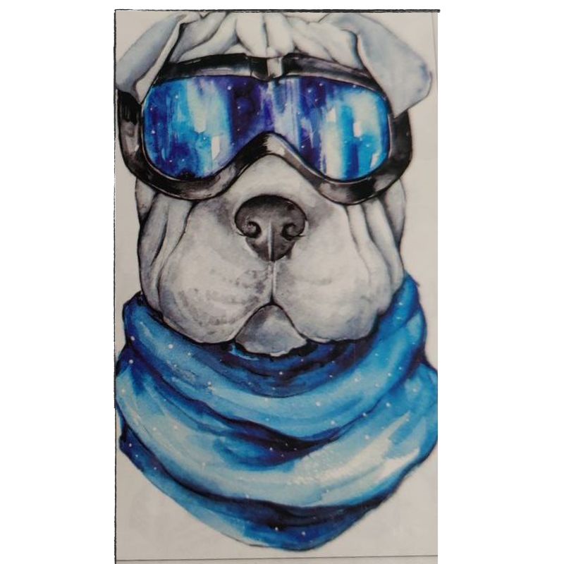 Hund med skibriller - på ramme