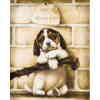 4 uger gammel hundehvalp - diamond paint
