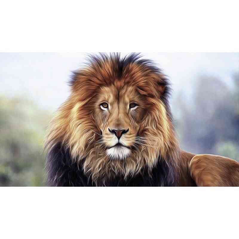 løve, dyrenes konge - Premium - diamond art