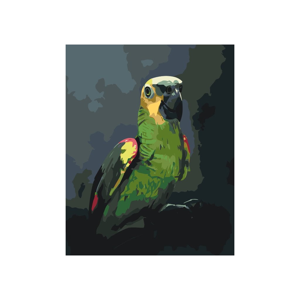 Amazon papegøje - Paint by Numbers Premium thumbnail