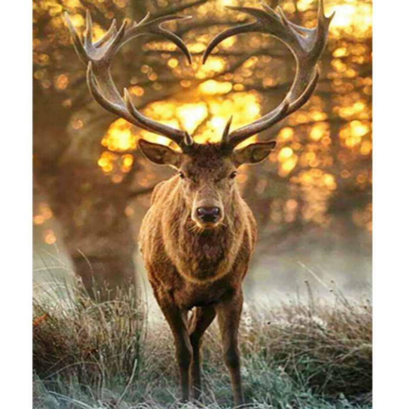 Diamond Art billede af et hjort med hjerteformet gevir. Dyk ned i en fortryllende verden af naturinspiration der viser en majestætisk hjort med hjerteformet gevir midt i en efterårsfarvet skov, omgivet af træer med gyldne og røde blade.