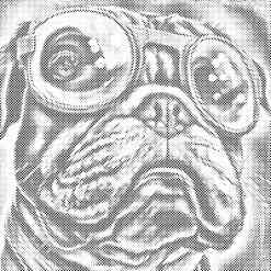 Mal med Prikker - Hund med solbriller 2