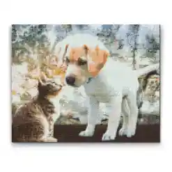 Hundehvalp og killing - Premium i diamond paint